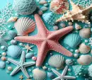 Starfish and Seashells Background