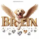 Bren