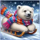 Polar bear sledding
