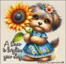 A flower to brighten your day