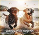 Splashing around having fun!