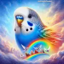 Budgie Blue