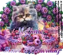 Melanie -Have a Caturday 