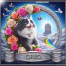 Oreo R.I.P.
