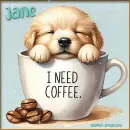 Coffee dog 1