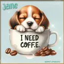 Coffee dog 2 - Jane 