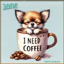 Coffee dog 3