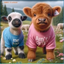 Cute Highland cows
