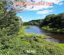 Beautiful Day
