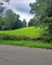 Meadow