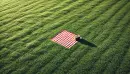 Grassy with picnic blanket wallpaper