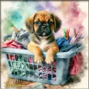 Puggle in a basket