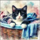 Tuxedo kitty in a basket