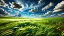 Cloudy nature wallpaper