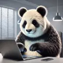 Panda working on a laptop