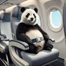 Panda in an airplane seat