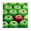 apples