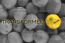 transformed