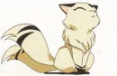 Cute little Kirara