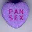 Pansexual