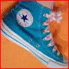 shoe
