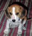 it`s so cute