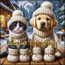 Adorable kitty and puppy