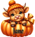 Highland Cow - Jane