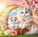 Two Beautiful Cats