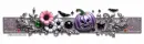 Halloween Divider