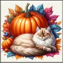 Pumpkin and Cat