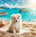 Dog at Beach
