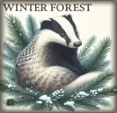 Winter Forrest