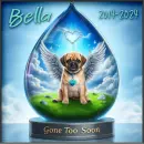 Gone too soon - Bella