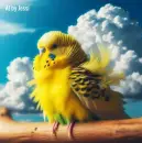 Yellow Budgie On Purch