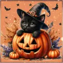 Black Kitty in a pumpkin