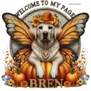 Bren Autumn Welcome to my Page Bren