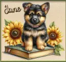 Adorable German shepherd puppy - Jane 
