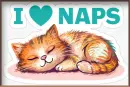 Cat sleeping