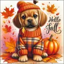 Cute dog - Hello Fall 