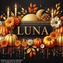 Banner Luna