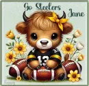 Higland cow Steeler's fan - Jane 
