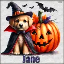 Cute Dracula puppy - Jane 