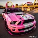 BCA Steeler car