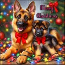 German Shepherd Christmas 