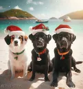 3 adorable Dogs