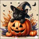 Black cat in a pumpkin