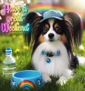 have a great weekend