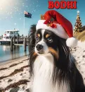 Bodhi