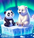 Panda Bear & Polar Bear